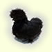 黒烏骨鶏のアイコン